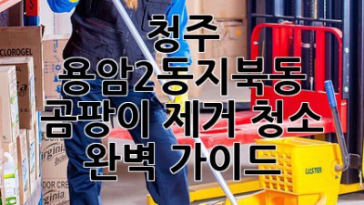 청주 용암2동/지북동 곰팡이 제거 청소 완벽 가이드